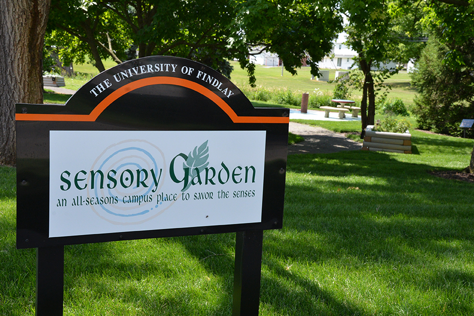 Sensory Garden