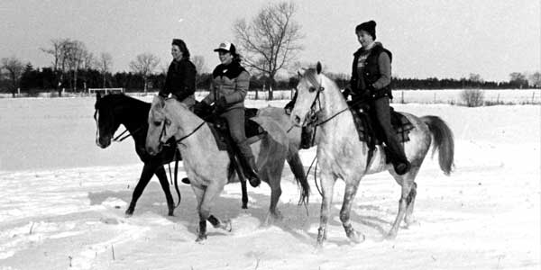 Equine Program in 1970s