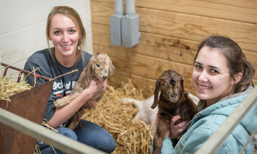 Animal Science Students