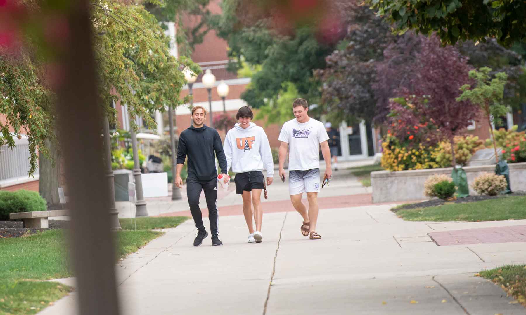 University of Findlay