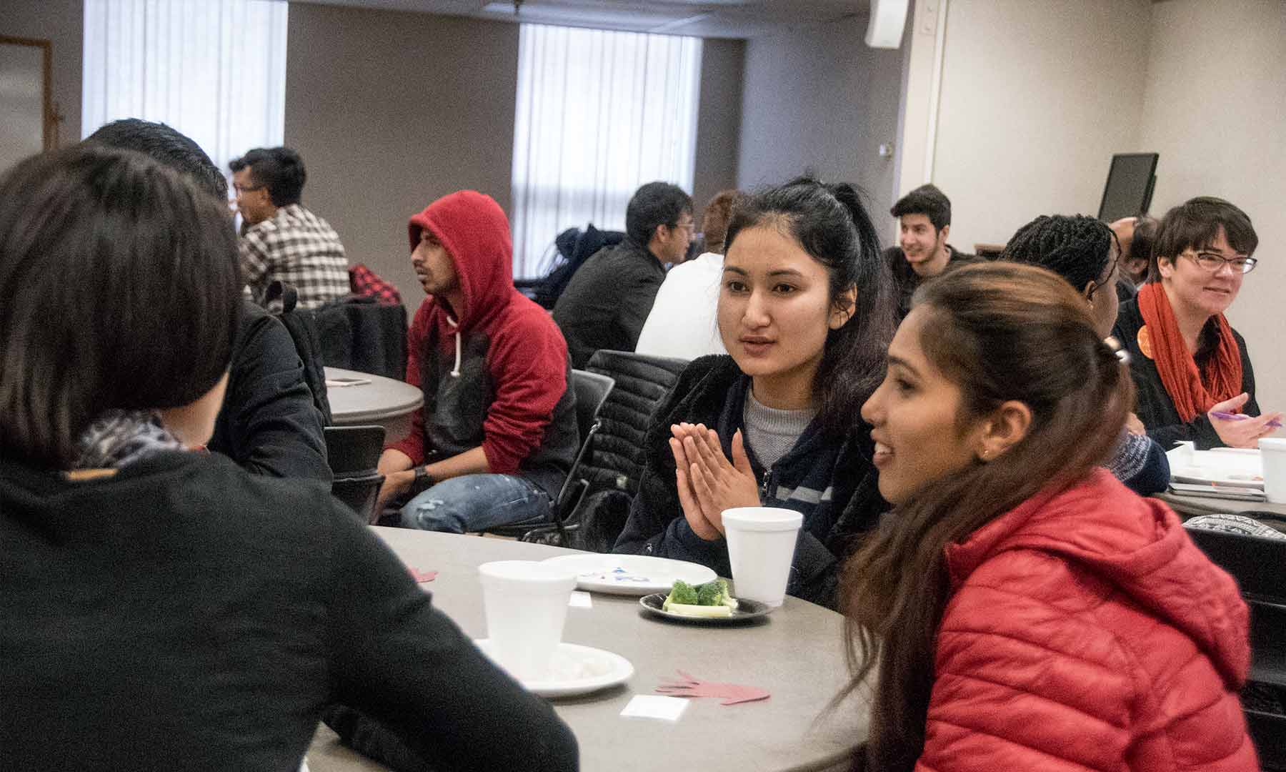 Mentorship Program for International Students