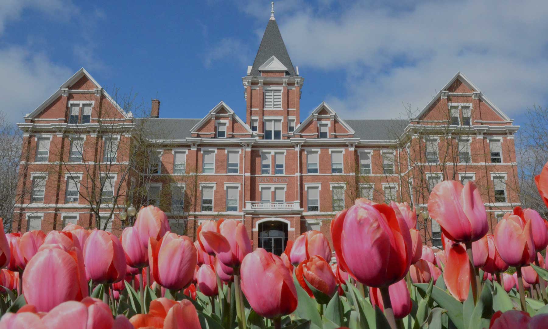 FinAidResourcesPhotoButton