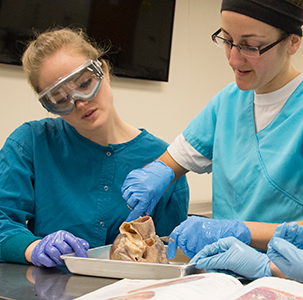Physician assistant students learning hands-on in cadaver lab.