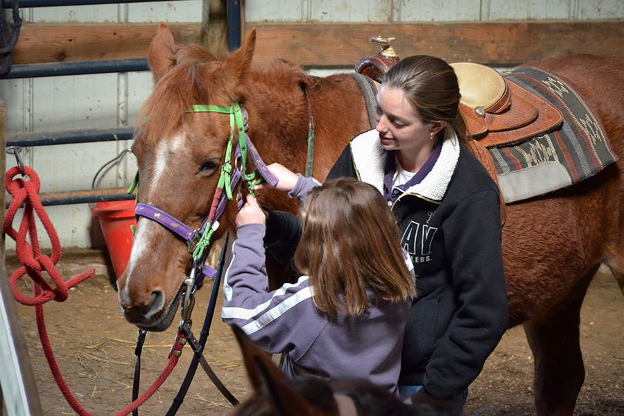 Equine Therapy