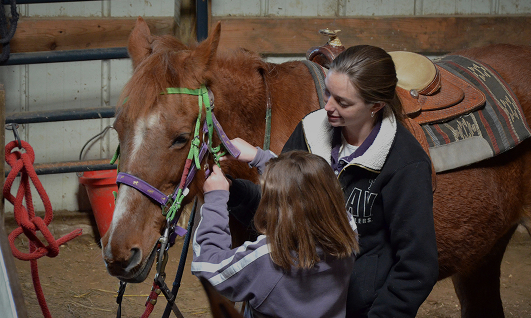 Social Work & Equestrian Studies