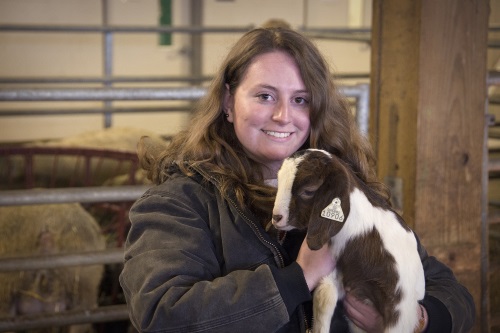 Pre-Vet Reception 2015