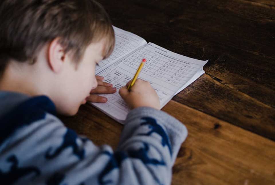 Working and Homeschooling