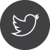 Twitter Logo