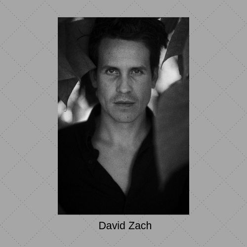 David Zach.jpg