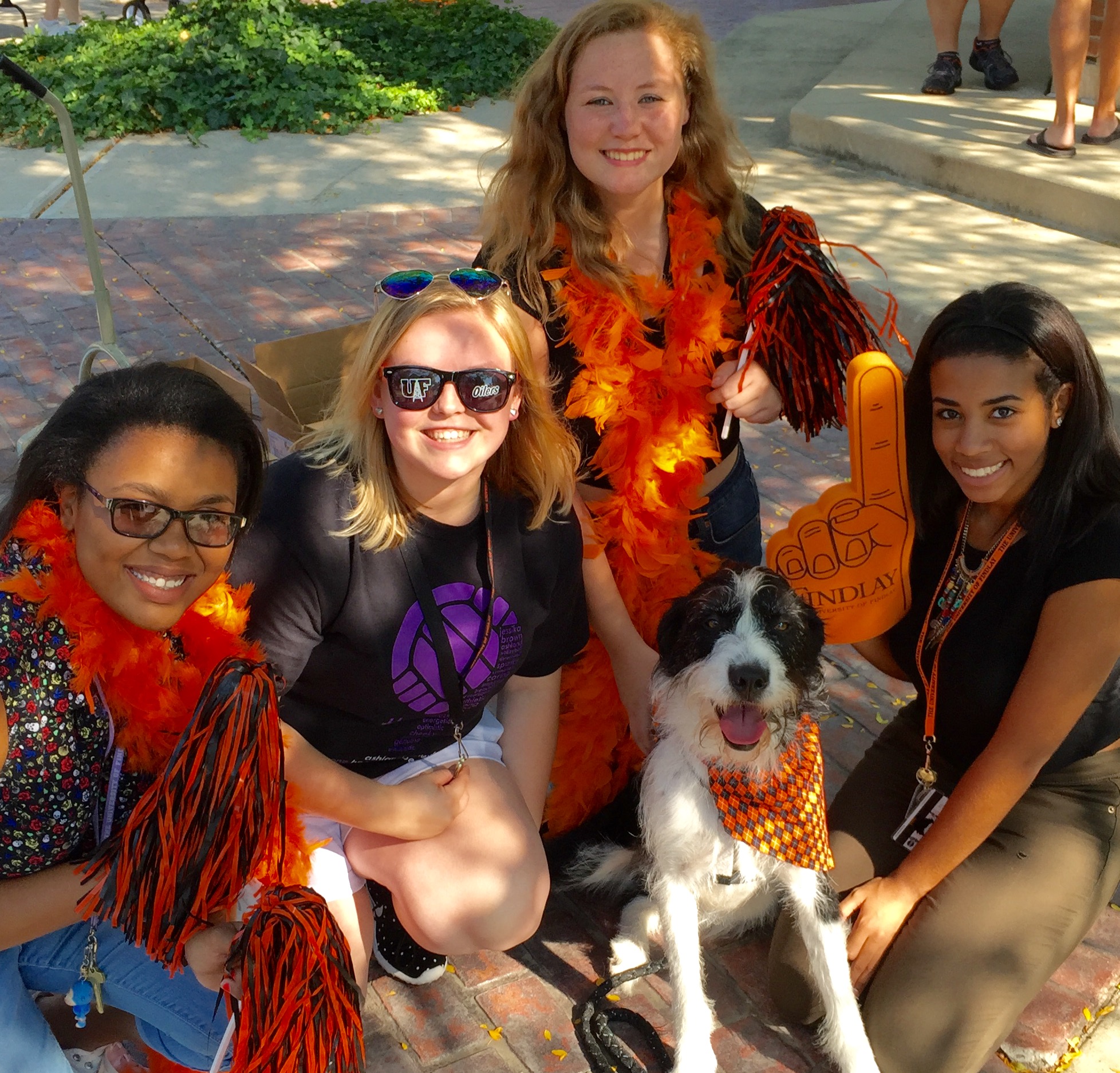 Oiler Dog