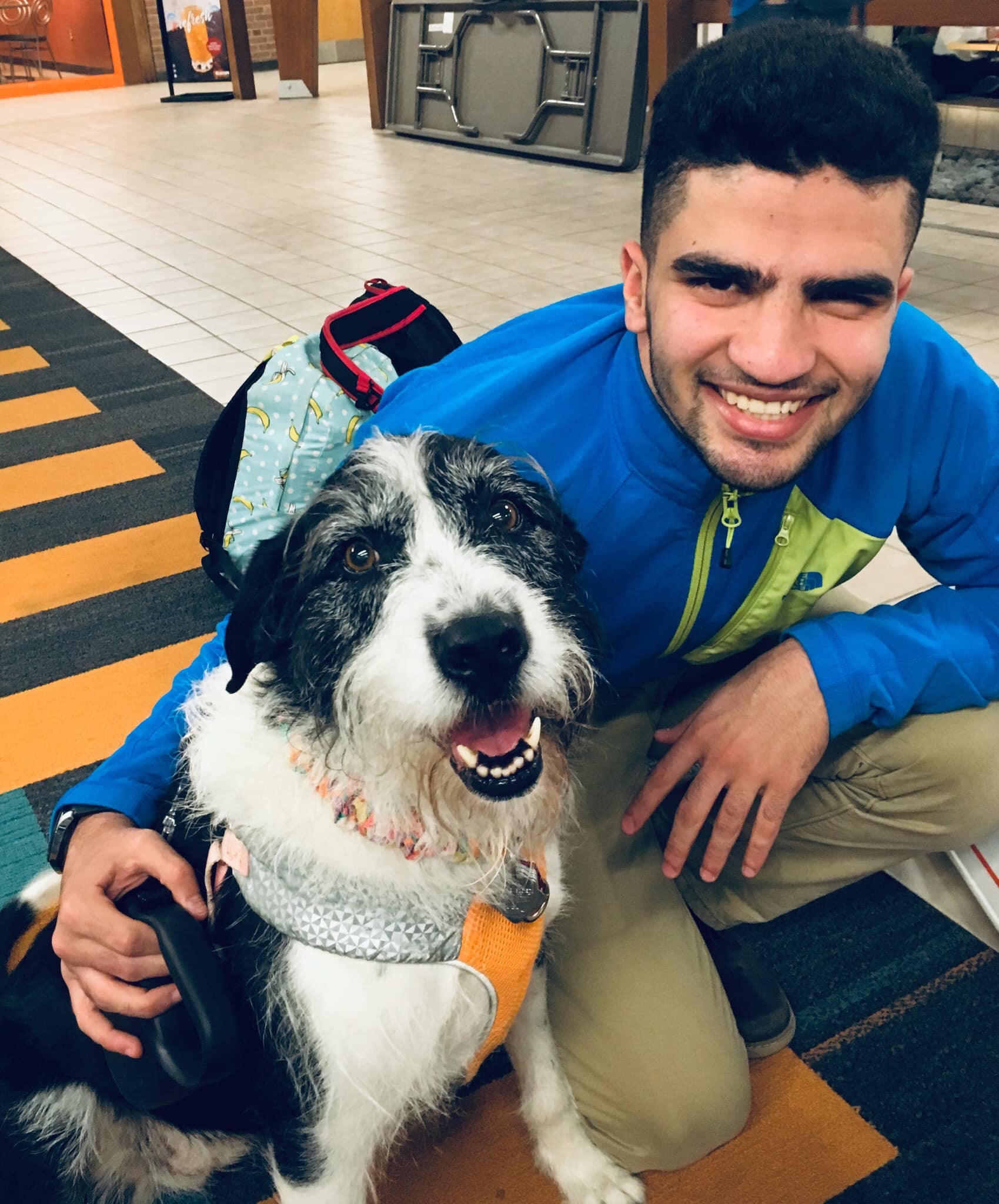 Dog with a young man