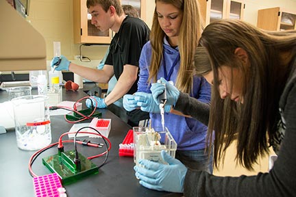 students perform DNA testing