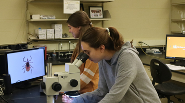 Students researching ticks