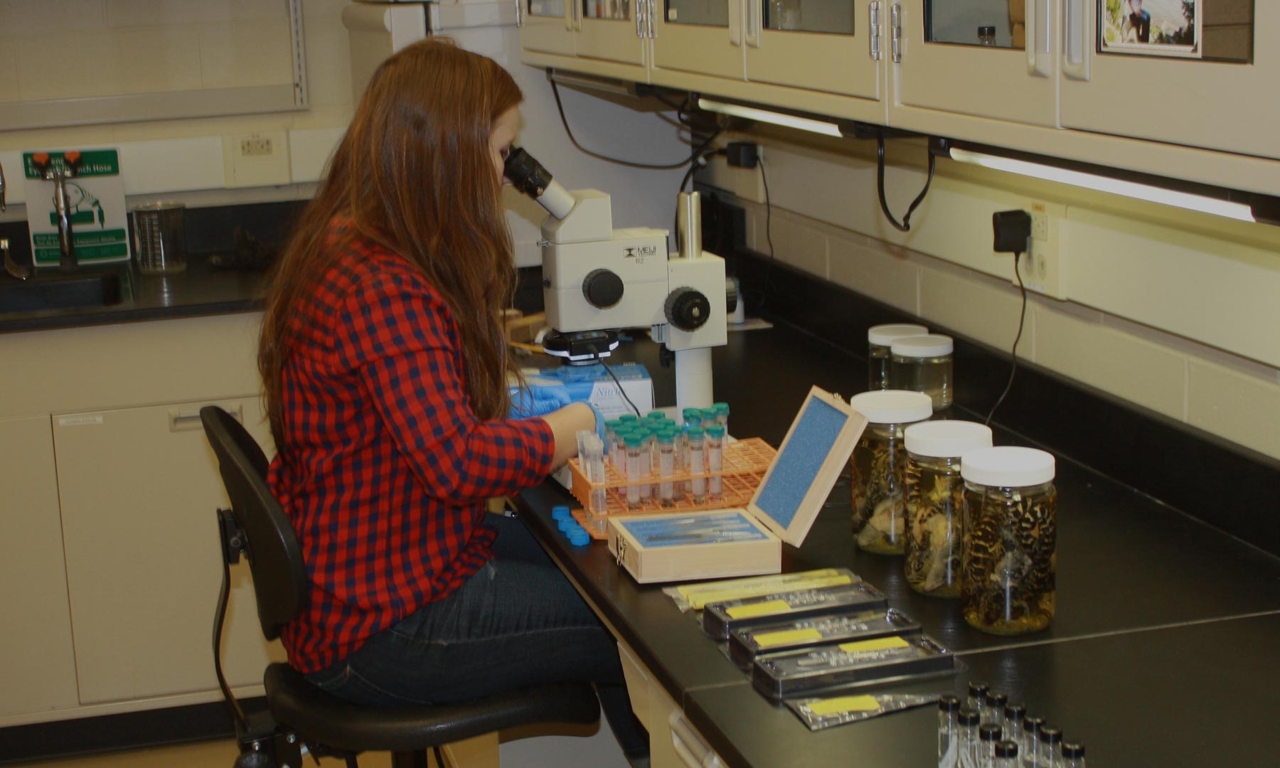 Undergraduate Research