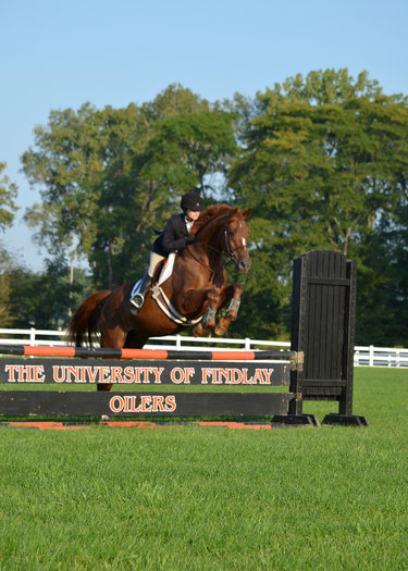 Eques. - Jumping - rs.jpg
