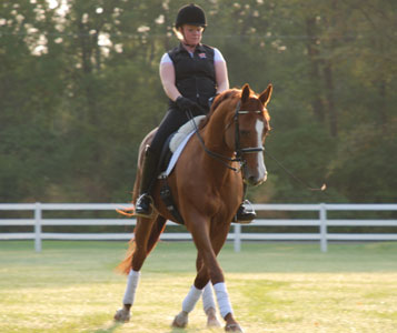 Dressage 