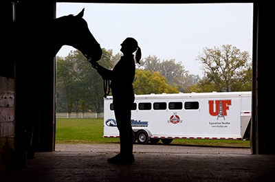 English Equestrian Riding