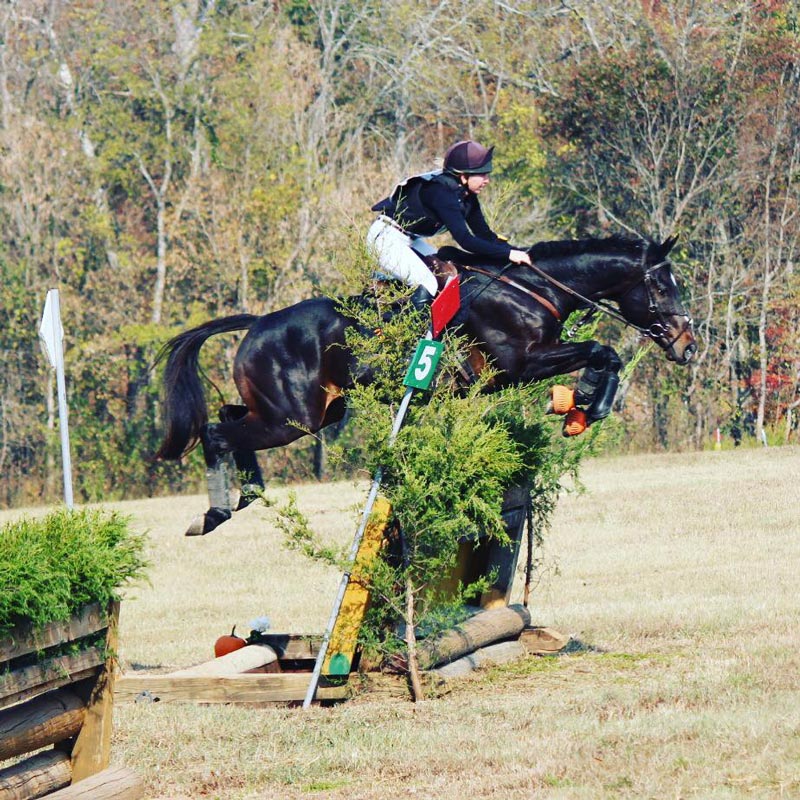 Eventing-Crosscountry.jpg