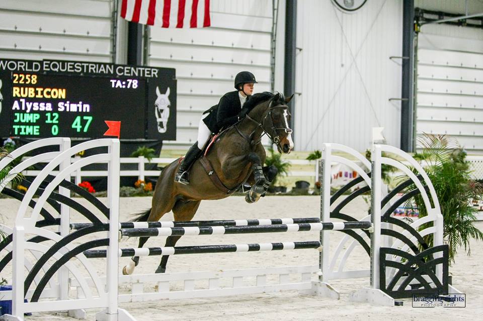 English Equestrian rider at competion