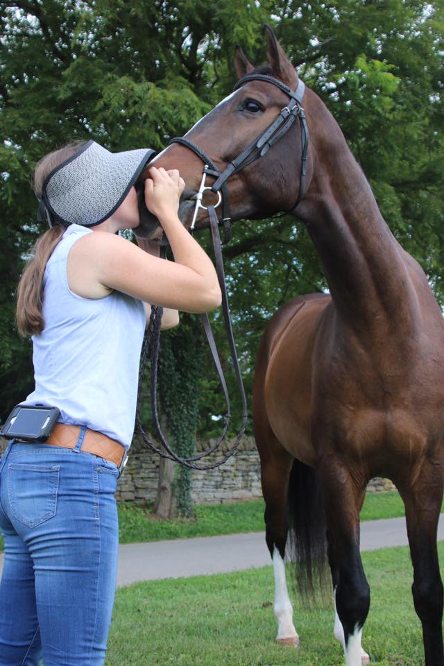 IHSA Hunt Seat english