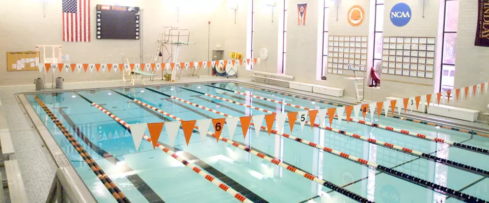 Fast Facts Swimming Pool