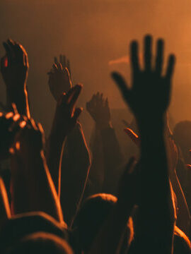 Crowd Raising Hands