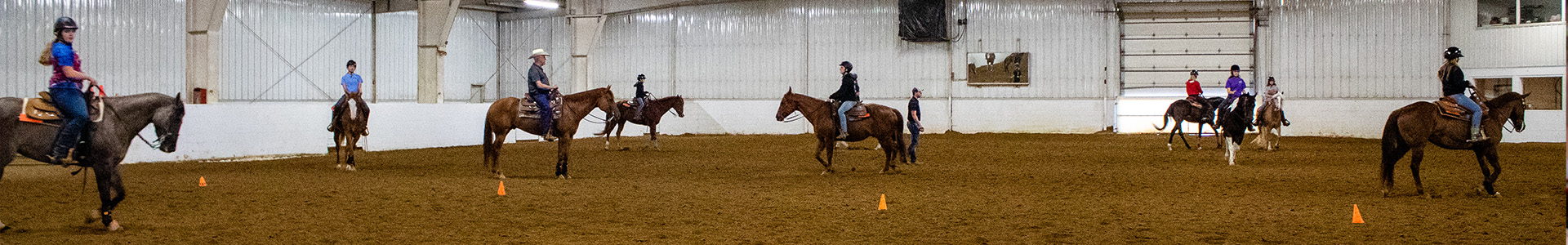 Equestrian Studies