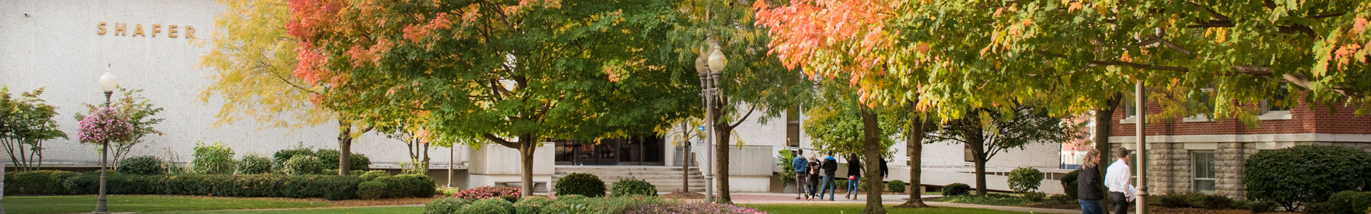 Shafer Library