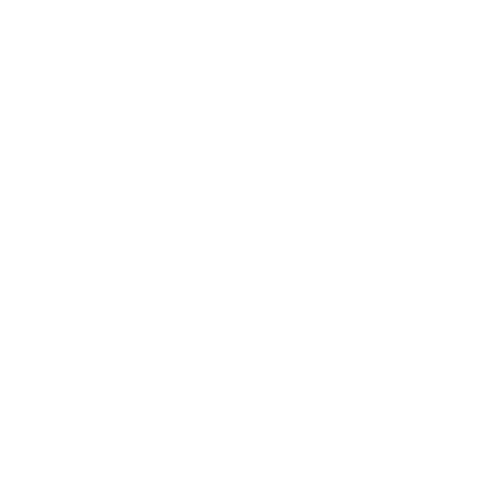 University of Findlay logo