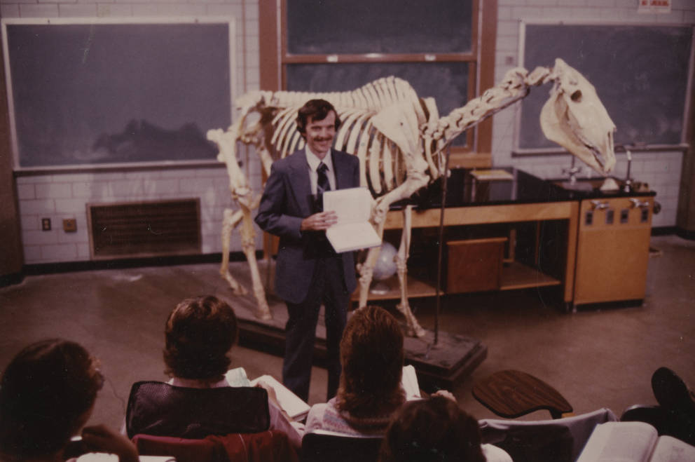 Horse Anatomy