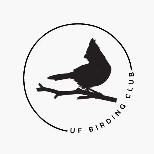 Uf Birding Club