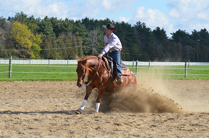 Western Horse Cutting